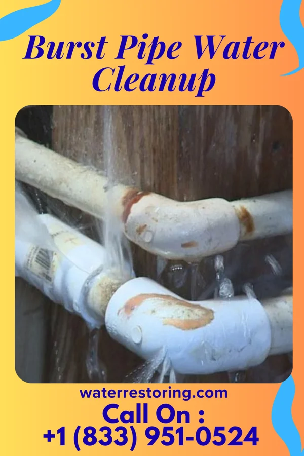 Burst Pipe Water Cleanup in Stockton, IL