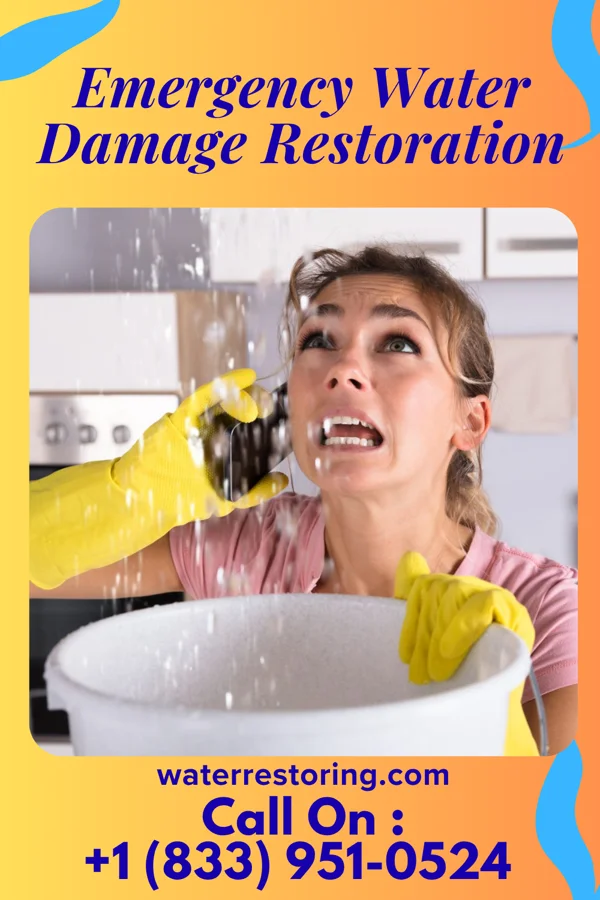Emergency Water Damage Restoration in Stockton, IL