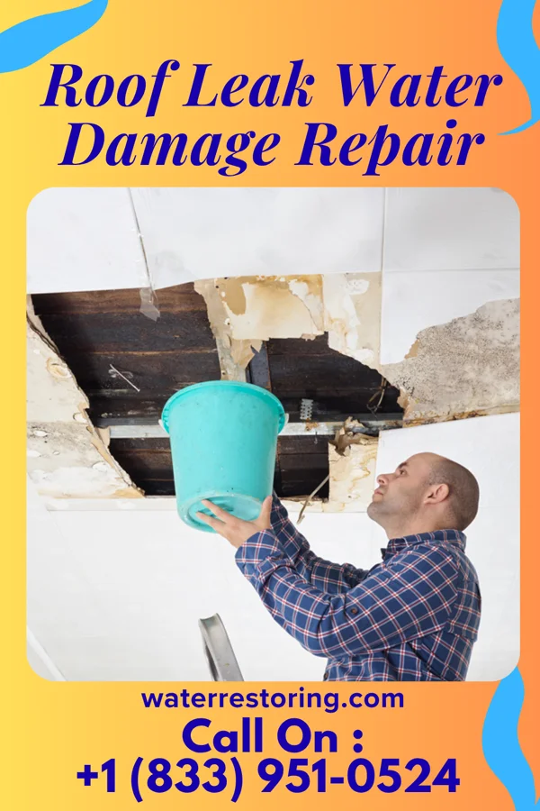 Roof Leak Water Damage Repair in Stockton, IL