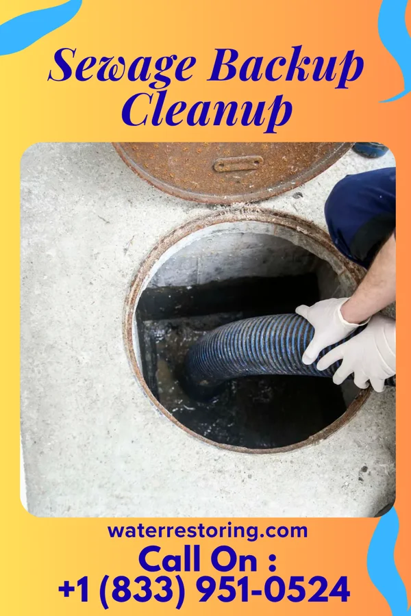 Sewage Backup Cleanup in Stockton, IL
